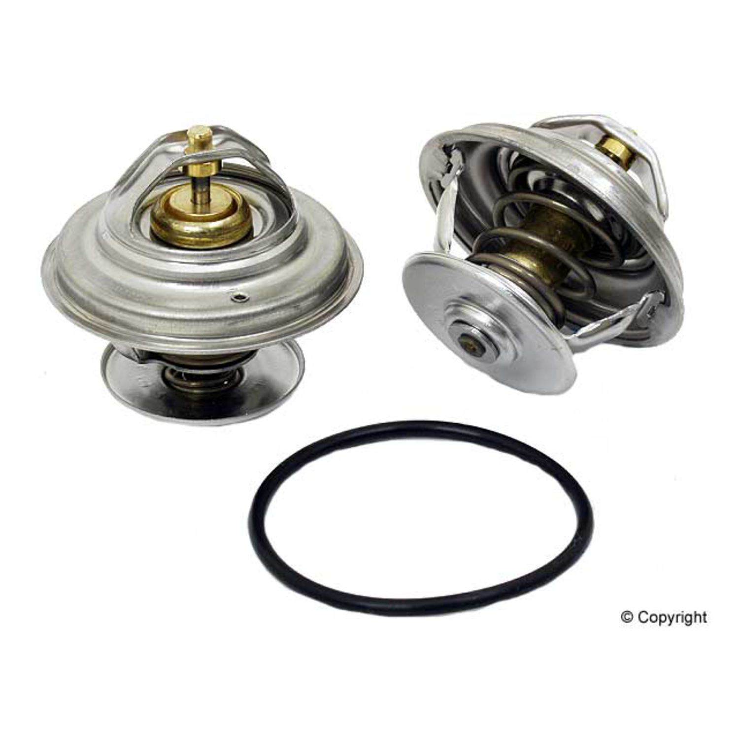 THERMOSTAT W/ SEAL